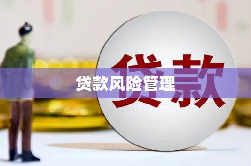 大堂贷款风险管理