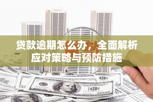 大堂贷款逾期怎么办，全面解析应对策略与预防措施