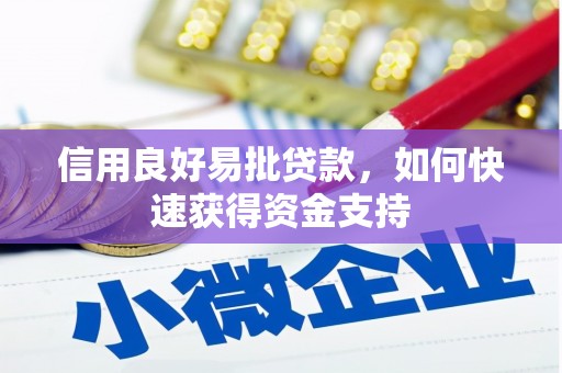 大堂信用良好易批贷款，如何快速获得资金支持