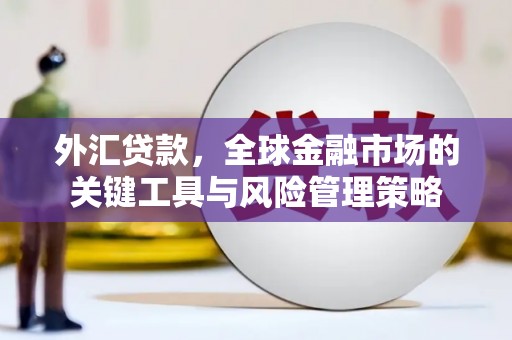 大堂外汇贷款，全球金融市场的关键工具与风险管理策略