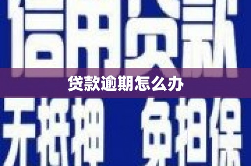 大堂贷款逾期怎么办