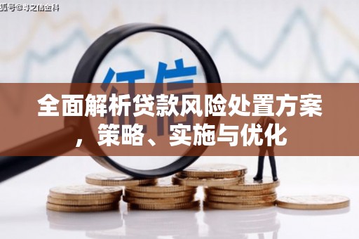 大堂全面解析贷款风险处置方案，策略、实施与优化