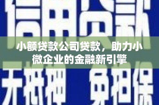 大堂小额贷款公司贷款，助力小微企业的金融新引擎