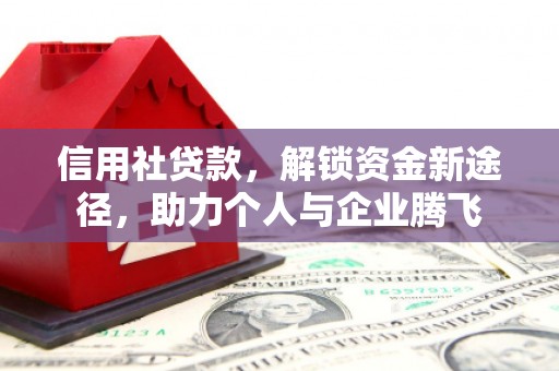 大堂信用社贷款，解锁资金新途径，助力个人与企业腾飞