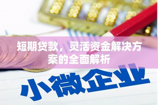 大堂短期贷款，灵活资金解决方案的全面解析