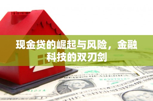 大堂现金贷的崛起与风险，金融科技的双刃剑