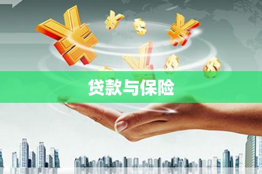 大堂贷款与保险
