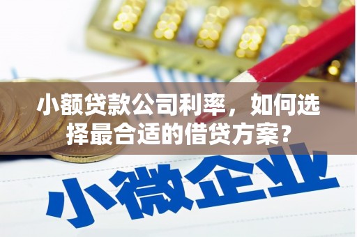 大堂小额贷款公司利率，如何选择最合适的借贷方案？