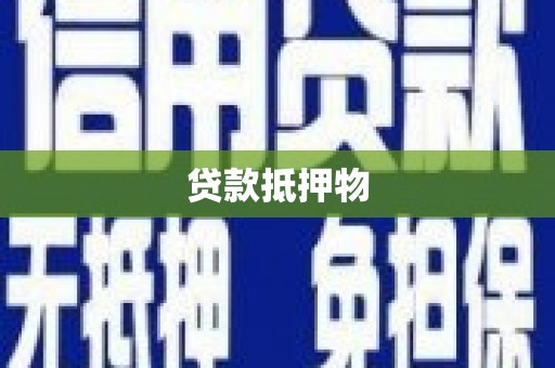 大堂贷款抵押物