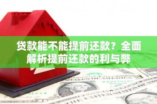 大堂贷款能不能提前还款？全面解析提前还款的利与弊