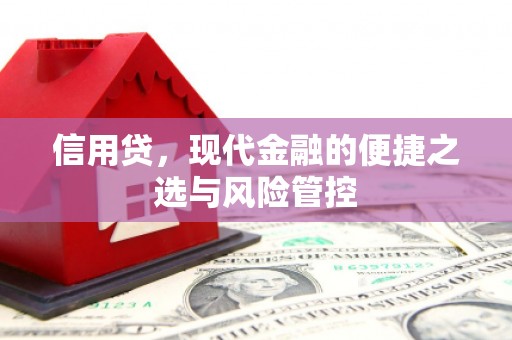 大堂信用贷，现代金融的便捷之选与风险管控
