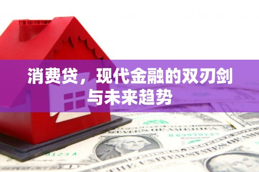 大堂消费贷，现代金融的双刃剑与未来趋势