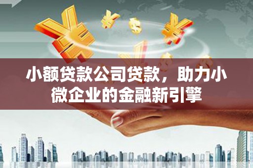 大堂小额贷款公司贷款，助力小微企业的金融新引擎