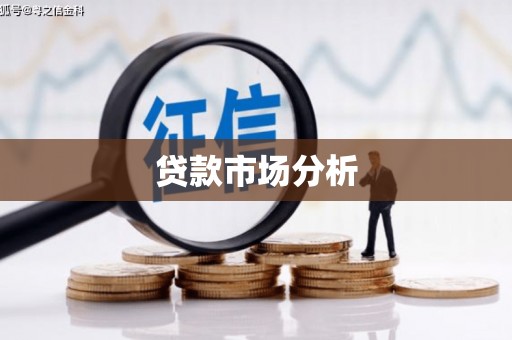 大堂贷款市场分析