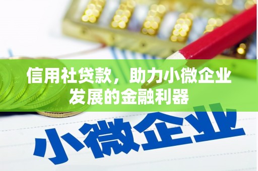 大堂信用社贷款，助力小微企业发展的金融利器