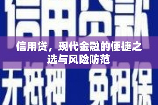 大堂信用贷，现代金融的便捷之选与风险防范