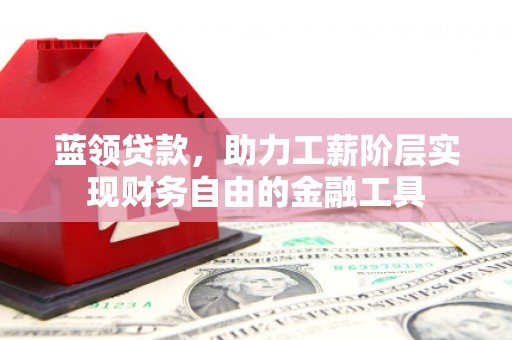 大堂蓝领贷款，助力工薪阶层实现财务自由的金融工具