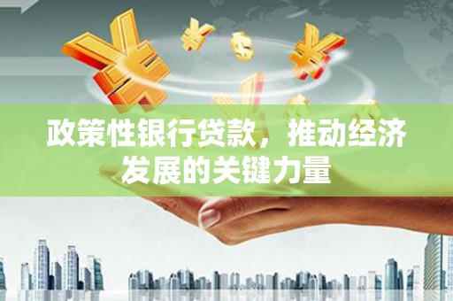 大堂政策性银行贷款，推动经济发展的关键力量