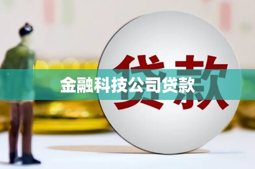 大堂金融科技公司贷款