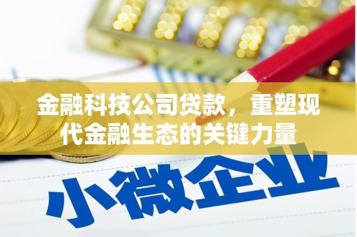 大堂金融科技公司贷款，重塑现代金融生态的关键力量