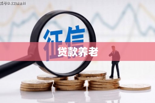 大堂贷款养老
