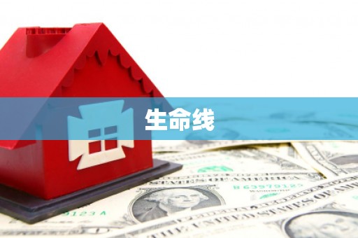 大堂生命线