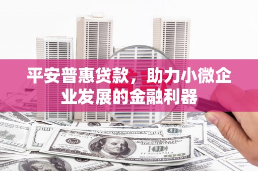 大堂平安普惠贷款，助力小微企业发展的金融利器