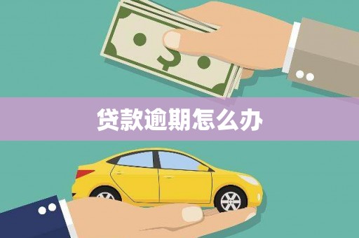 大堂贷款逾期怎么办