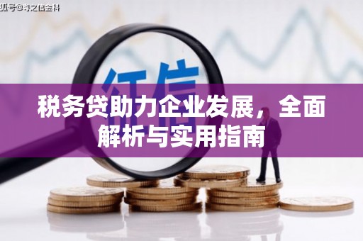 大堂税务贷助力企业发展，全面解析与实用指南