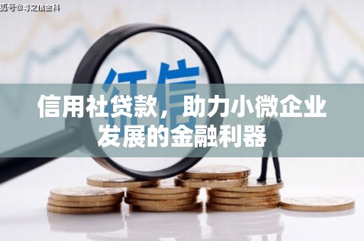 大堂信用社贷款，助力小微企业发展的金融利器