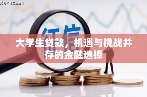 大堂大学生贷款，机遇与挑战并存的金融选择