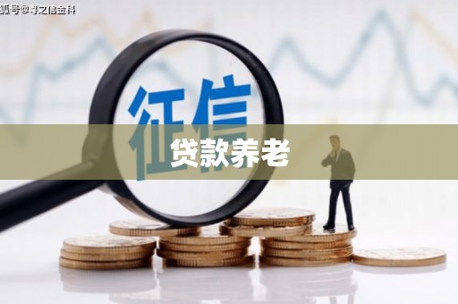 大堂贷款养老