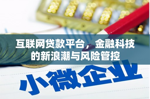 大堂互联网贷款平台，金融科技的新浪潮与风险管控