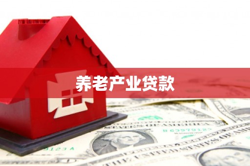 大堂养老产业贷款
