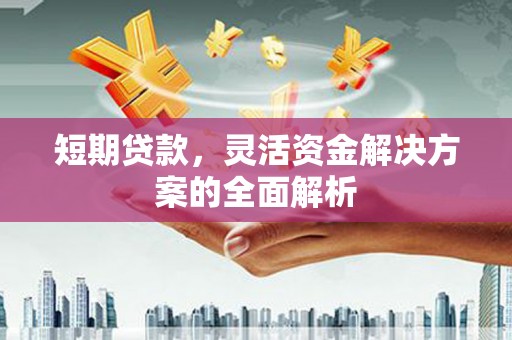 大堂短期贷款，灵活资金解决方案的全面解析