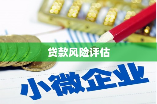 大堂贷款风险评估
