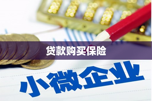 大堂贷款购买保险