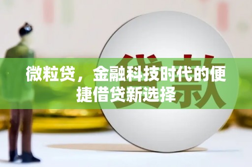 大堂微粒贷，金融科技时代的便捷借贷新选择