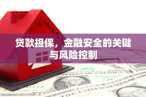 大堂贷款担保，金融安全的关键与风险控制