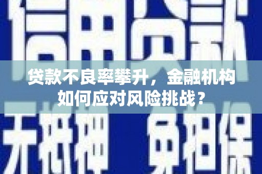 大堂贷款不良率攀升，金融机构如何应对风险挑战？