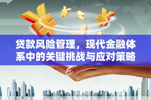 大堂贷款风险管理，现代金融体系中的关键挑战与应对策略
