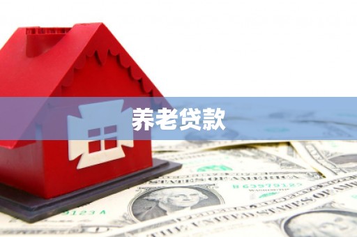 大堂养老贷款