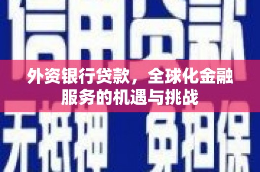 大堂外资银行贷款，全球化金融服务的机遇与挑战