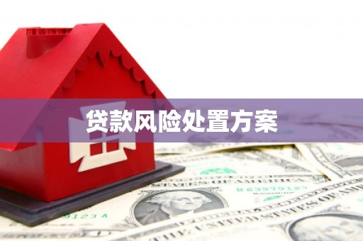 大堂贷款风险处置方案