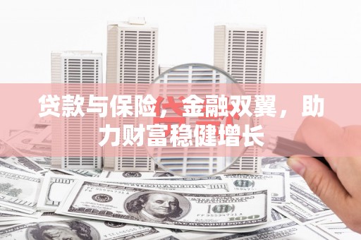 大堂贷款与保险，金融双翼，助力财富稳健增长