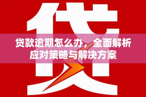 大堂贷款逾期怎么办，全面解析应对策略与解决方案