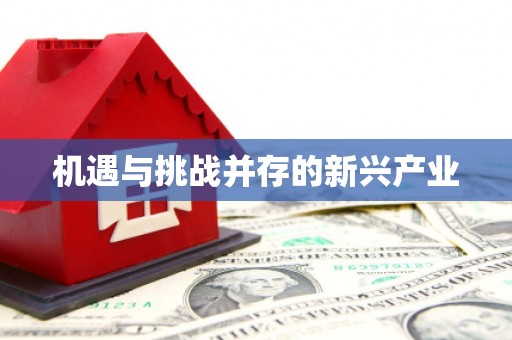 大堂机遇与挑战并存的新兴产业