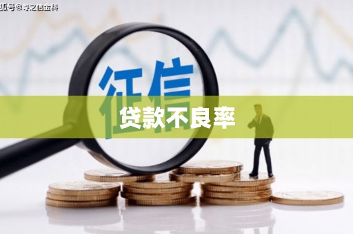 大堂贷款不良率