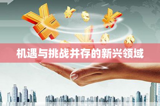 大堂机遇与挑战并存的新兴领域