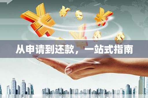 大堂从申请到还款，一站式指南